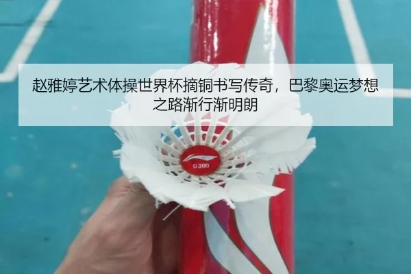 赵雅婷艺术体操世界杯摘铜书写传奇，巴黎奥运梦想之路渐行渐明朗